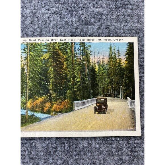 Vintage Oregon Postcard Lot Of 6 Mt Hood Sunken Rose Garden Columbia River Falls - Picture 9 of 16